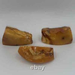 VTG Genuine Shaped Baltic 3 Amber Stone