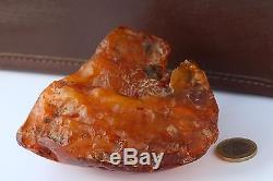 Very Big Natural Baltic Amber Stone Butterscotch 227.3 gr q