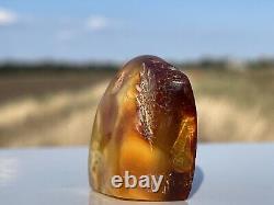 Vintage Baltic Amber Natural Nugget 100% Weight 30 g