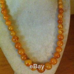 Vintage Natural Egg Yolk Baltic Amber Beads Necklace