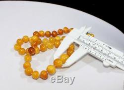 W Natural Genuine Butterscotch Egg Yolk Baltic Amber Necklace