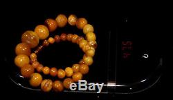 W Natural Genuine Butterscotch Egg Yolk Baltic Amber Necklace
