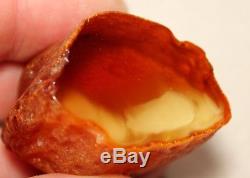 W Natural Genuine Butterscotch Egg Yolk Baltic Amber Stone