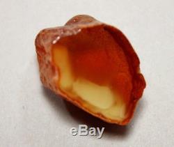 W Natural Genuine Butterscotch Egg Yolk Baltic Amber Stone