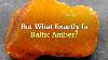 What Is Baltic Amber Explanation Blueprint