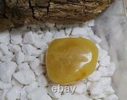 White Amber Stone 22 Gr. Natural Baltic Royal Fossil