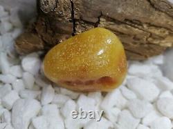 White Amber Stone 22 Gr. Natural Baltic Royal Fossil