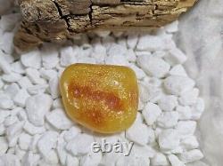 White Amber Stone 22 Gr. Natural Baltic Royal Fossil