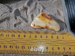 White Amber Stone Natural Loose Unique Baltic Amber 14gr