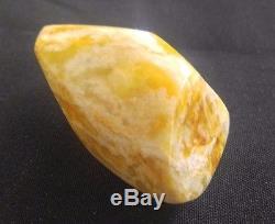 White Royal Marbled Tiger Natural Baltic Amber Stone 35.9 Gr