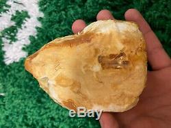 White Yellow Baltic Amber stone (263g.)